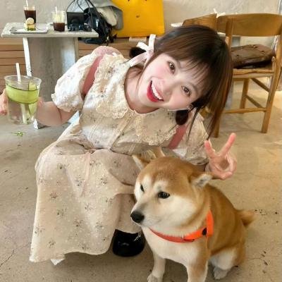 武侠七公主粤语