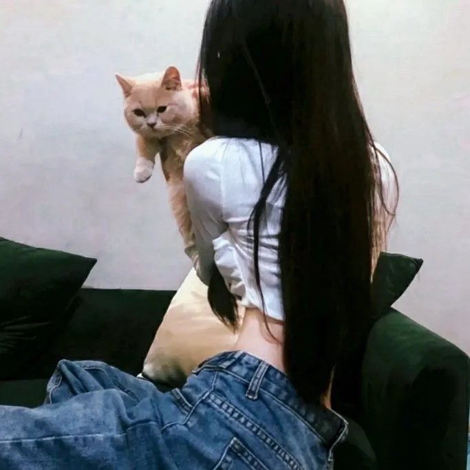 侠盗妖姬