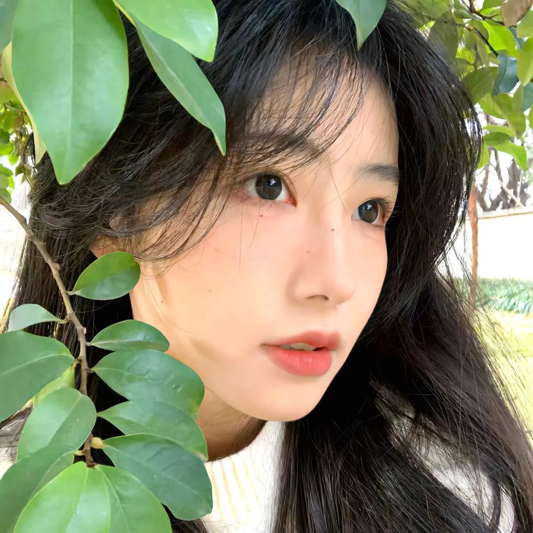 圣诞女孩